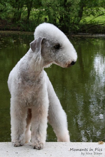 2010-05-01 Svet und Aveline (1).JPG